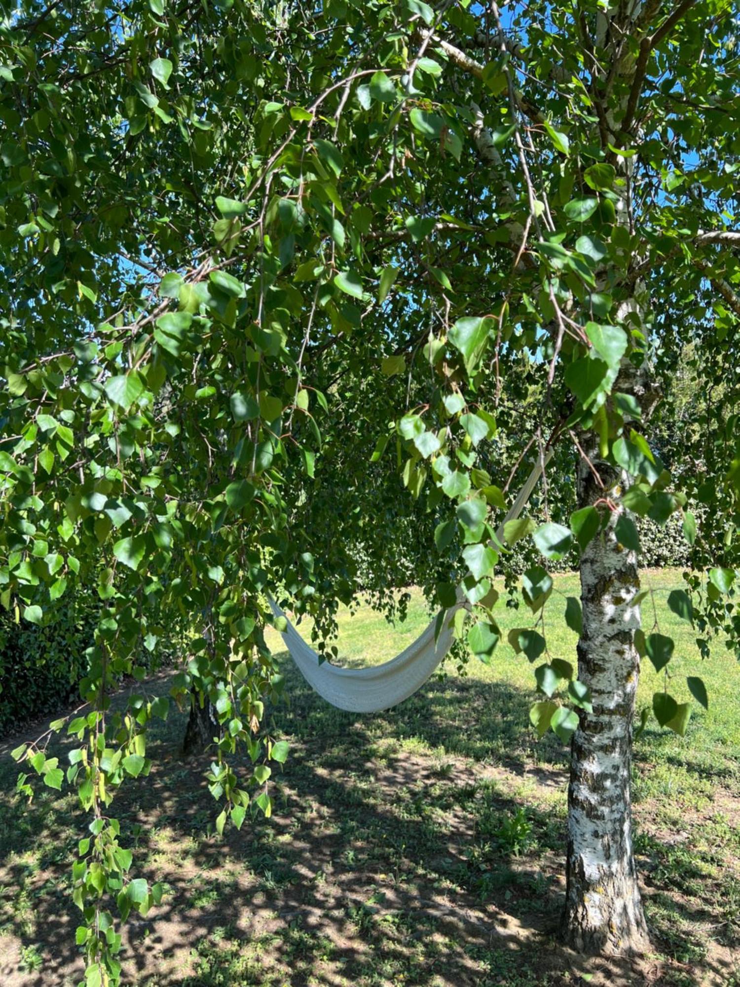 Cascina Il Volo Bed & Breakfast Moncalvo Bagian luar foto